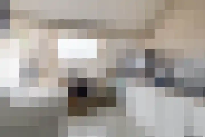 Everlo 6 Venlo thumbnail 34