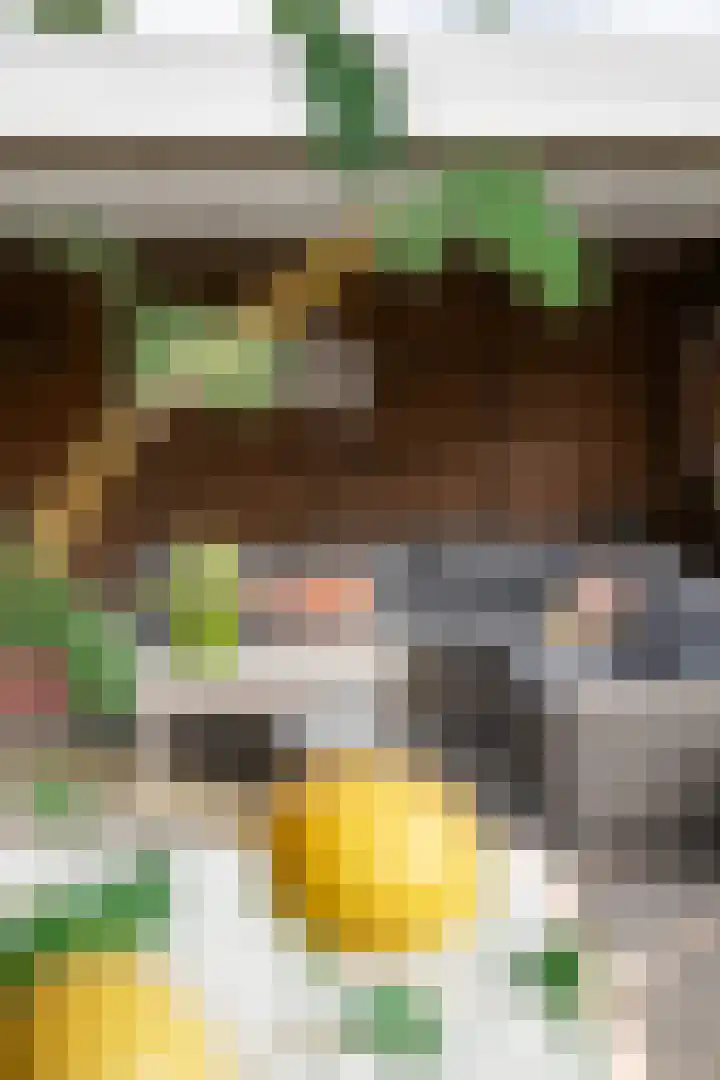 Everlo 6 Venlo thumbnail 35
