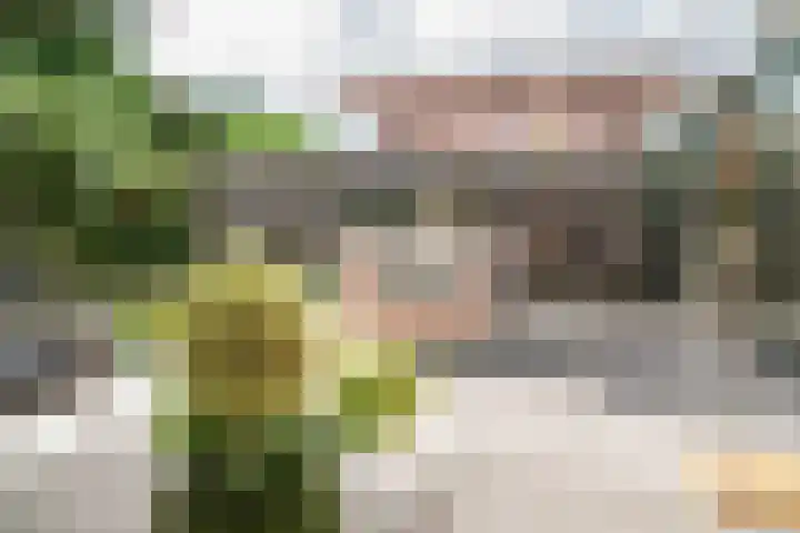 Everlo 6 Venlo thumbnail 36