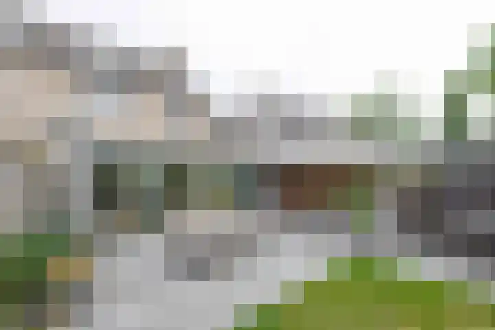 Everlo 6 Venlo thumbnail 37