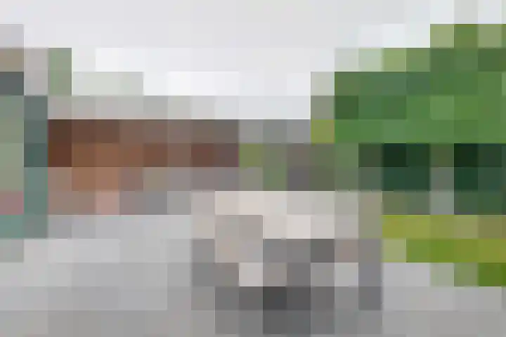 Everlo 6 Venlo thumbnail 38