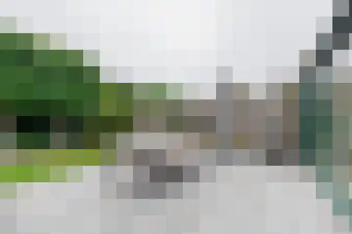 Everlo 6 Venlo thumbnail 39