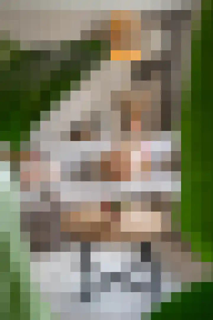 Everlo 6 Venlo thumbnail 4