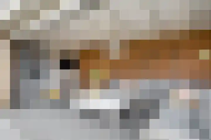 Everlo 6 Venlo thumbnail 40