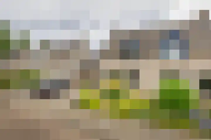 Everlo 6 Venlo thumbnail 41