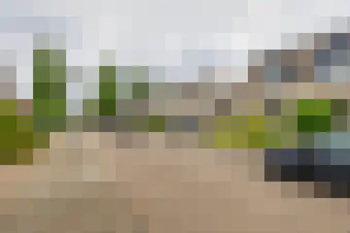 Everlo 6 Venlo thumbnail 42