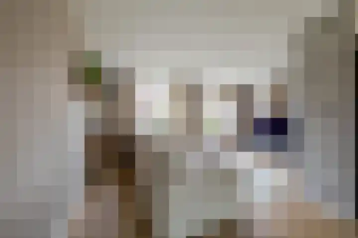 Everlo 6 Venlo thumbnail 6
