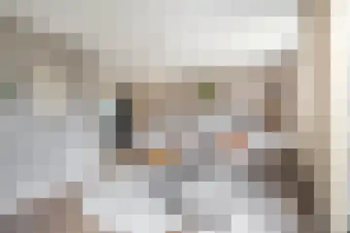 Everlo 6 Venlo thumbnail 7
