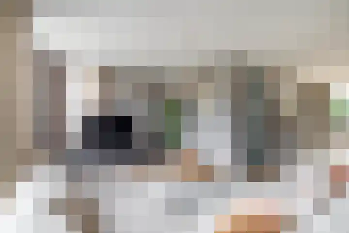 Everlo 6 Venlo thumbnail 8