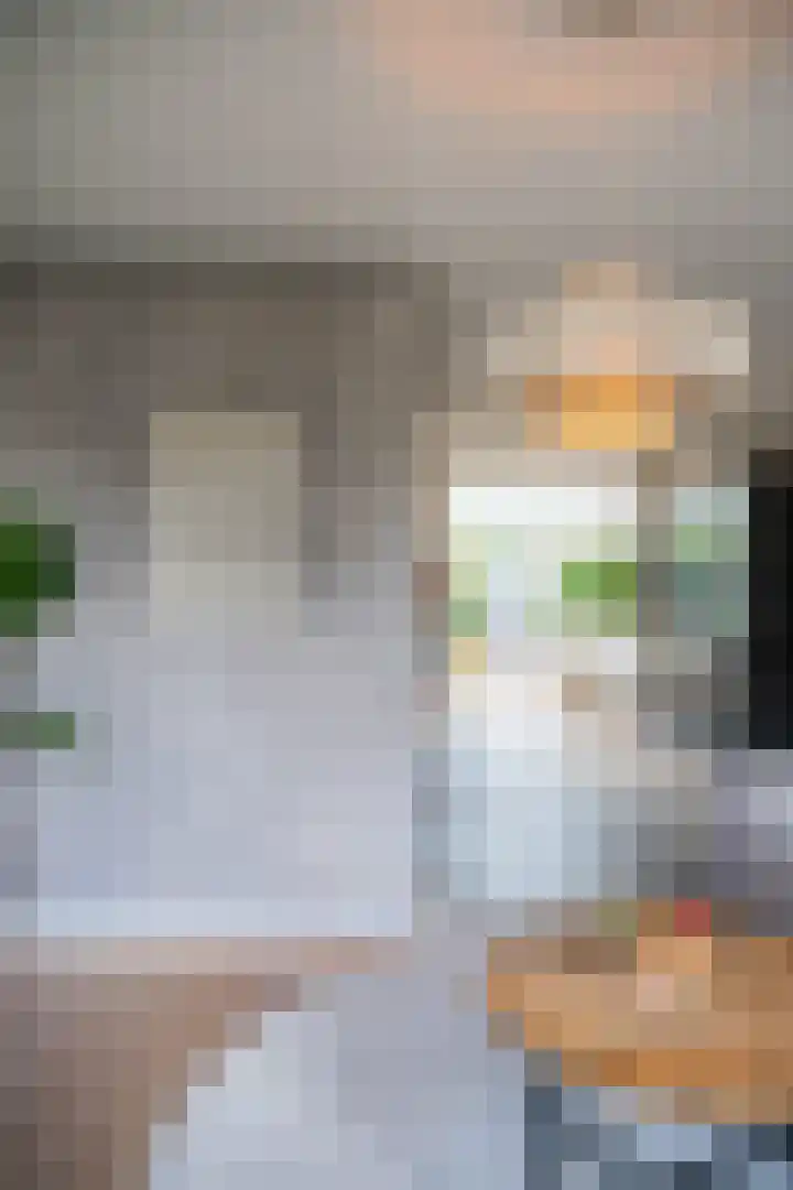 Everlo 6 Venlo thumbnail 9