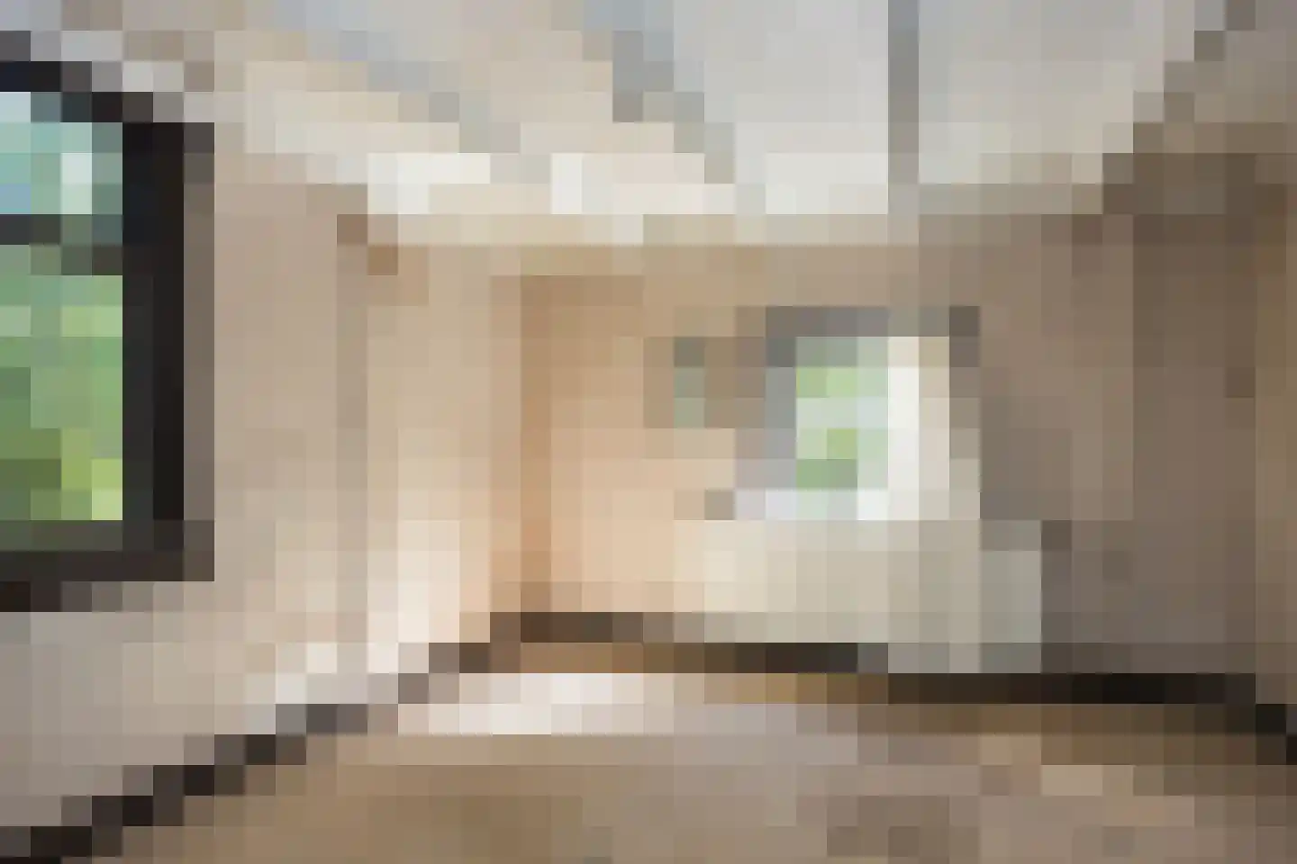 Everlostraat 13 Rossum thumbnail 14