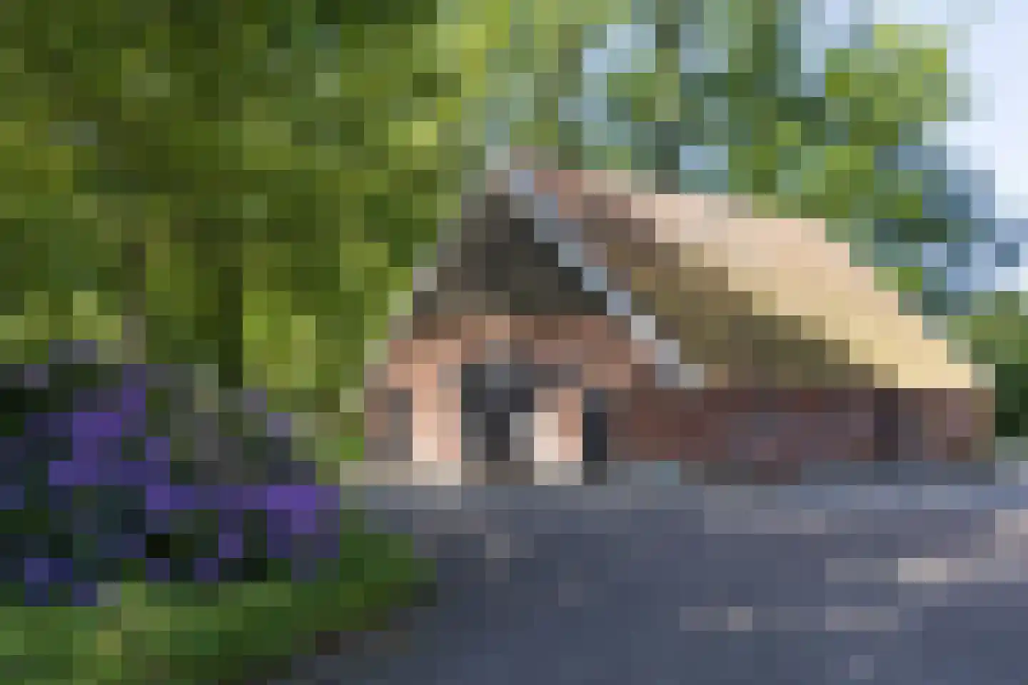 Everlostraat 13 Rossum thumbnail 18