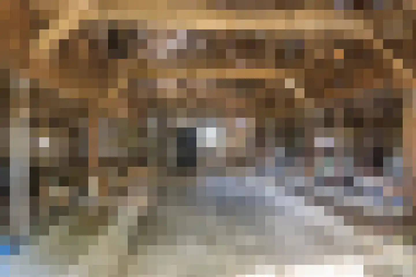 Everlostraat 13 Rossum thumbnail 19