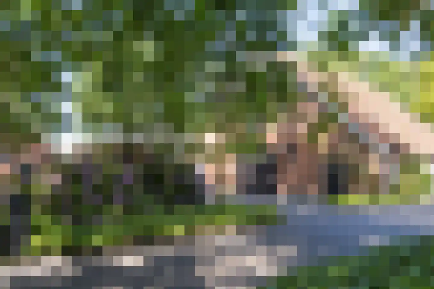 Everlostraat 13 Rossum thumbnail 21