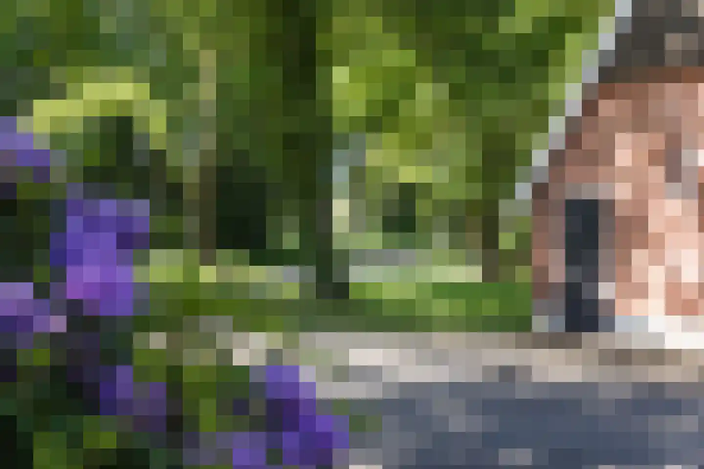 Everlostraat 13 Rossum thumbnail 22