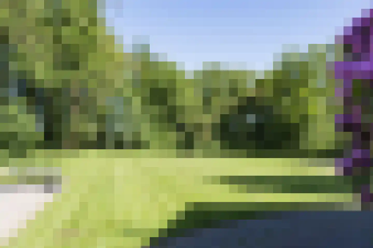 Everlostraat 13 Rossum thumbnail 31