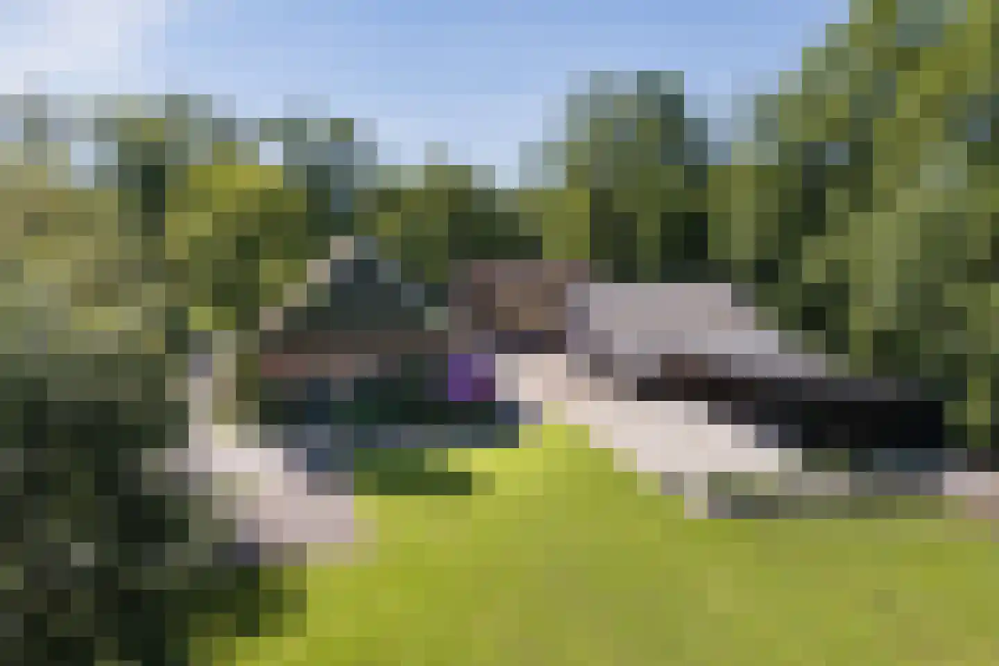 Everlostraat 13 Rossum thumbnail 34