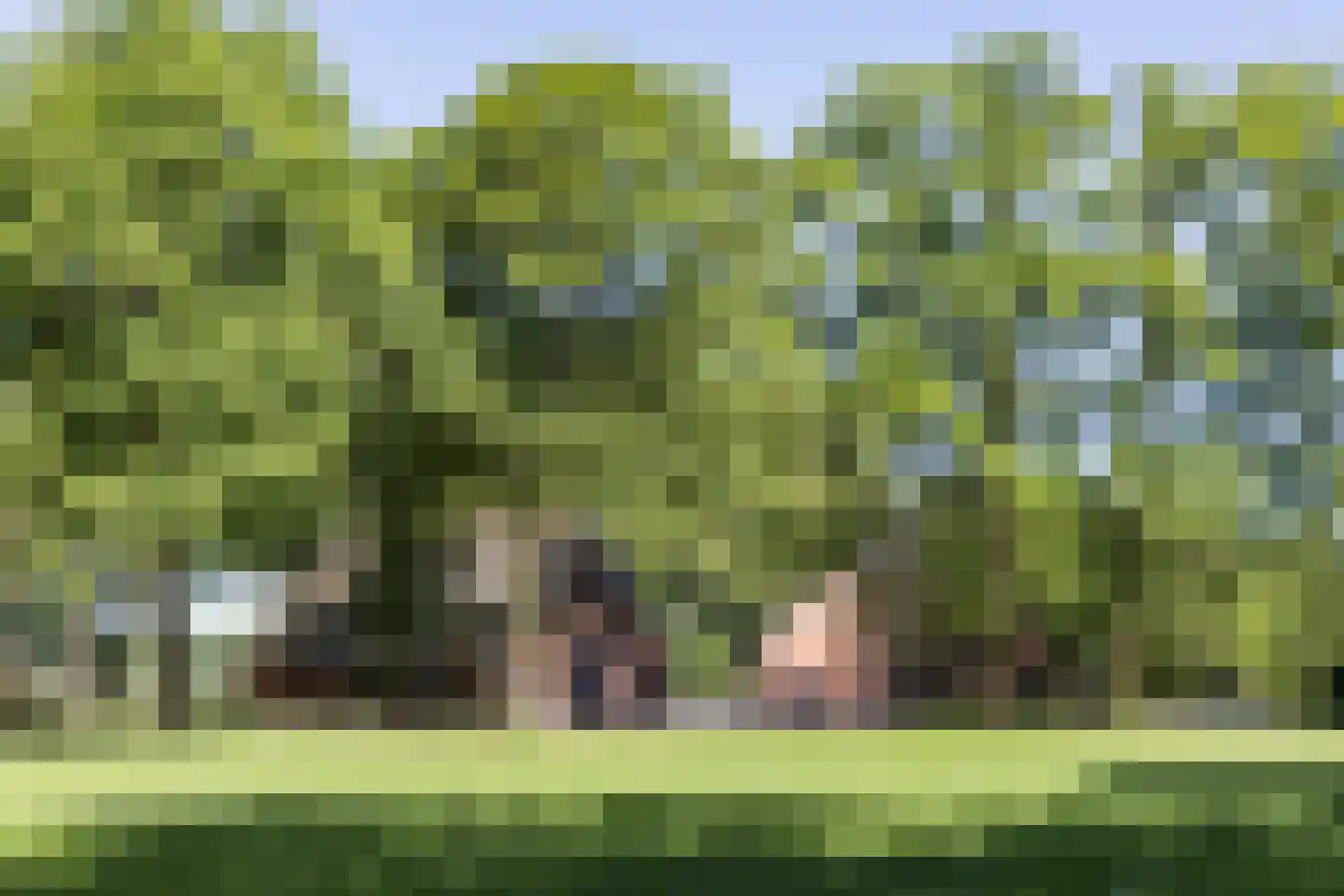 Everlostraat 13 Rossum thumbnail 38