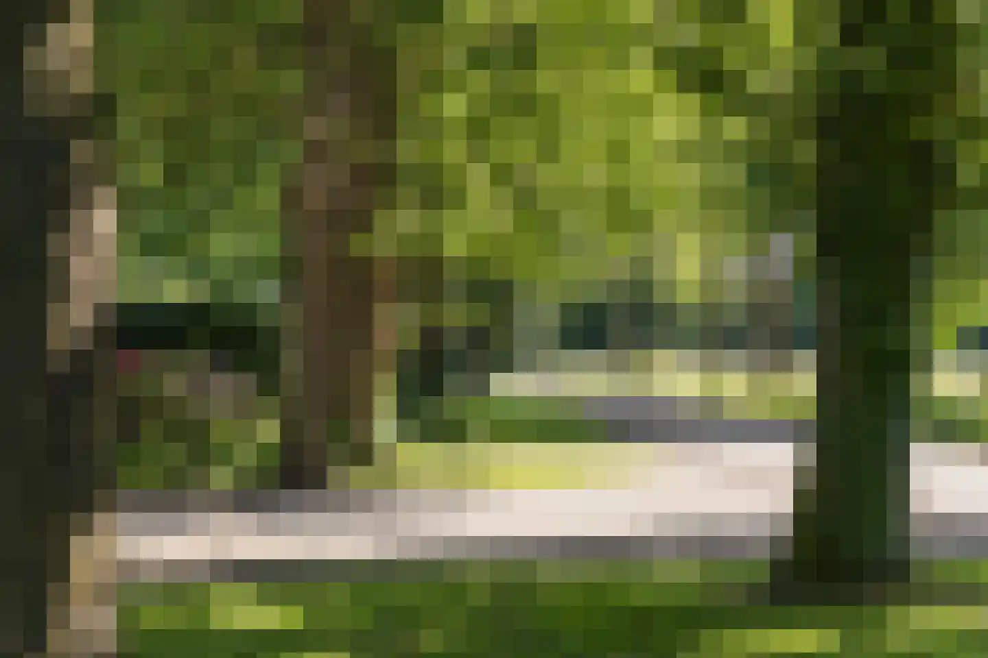 Everlostraat 13 Rossum thumbnail 39