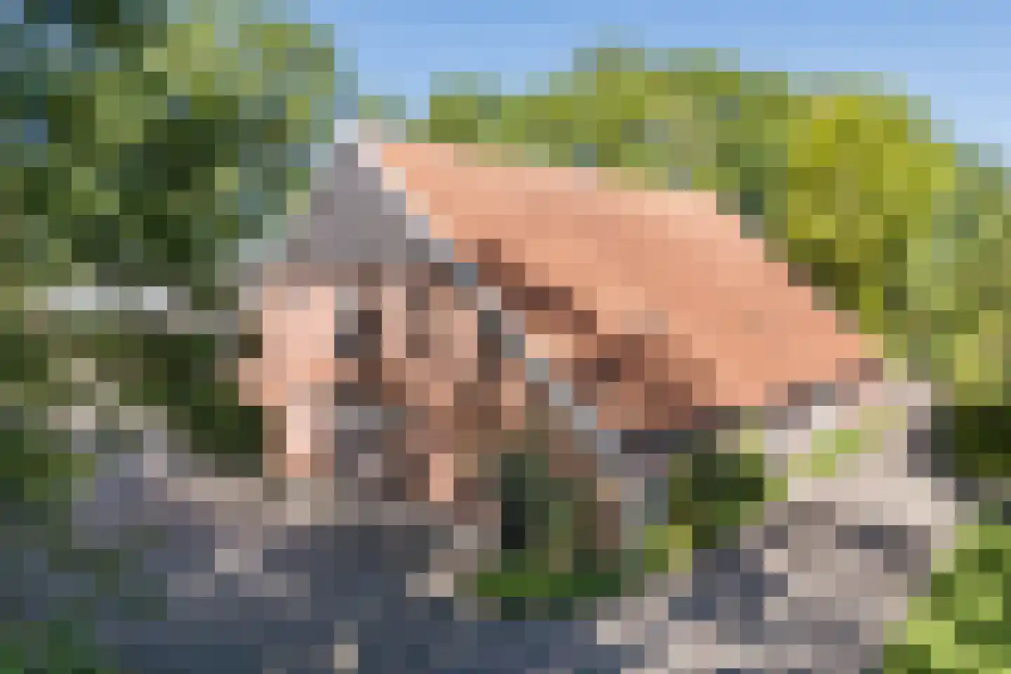 Everlostraat 13 Rossum thumbnail 5