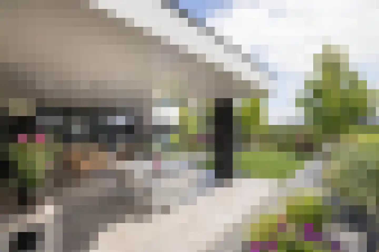 Everlostraat 21 Tubbergen thumbnail 13