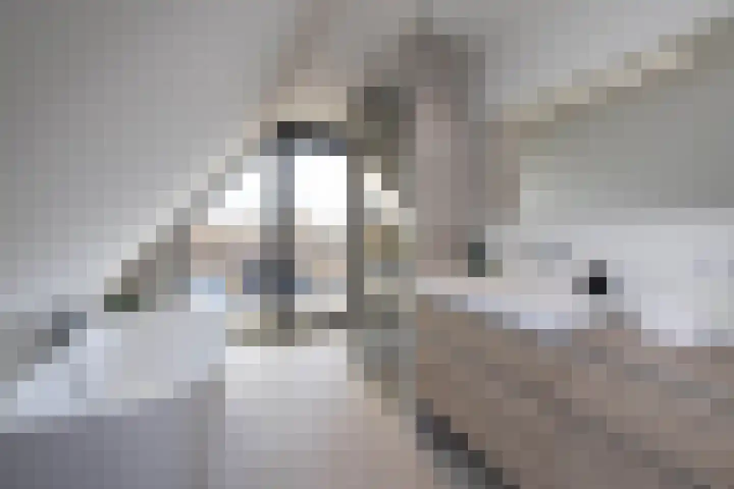 Everlostraat 21 Tubbergen thumbnail 24