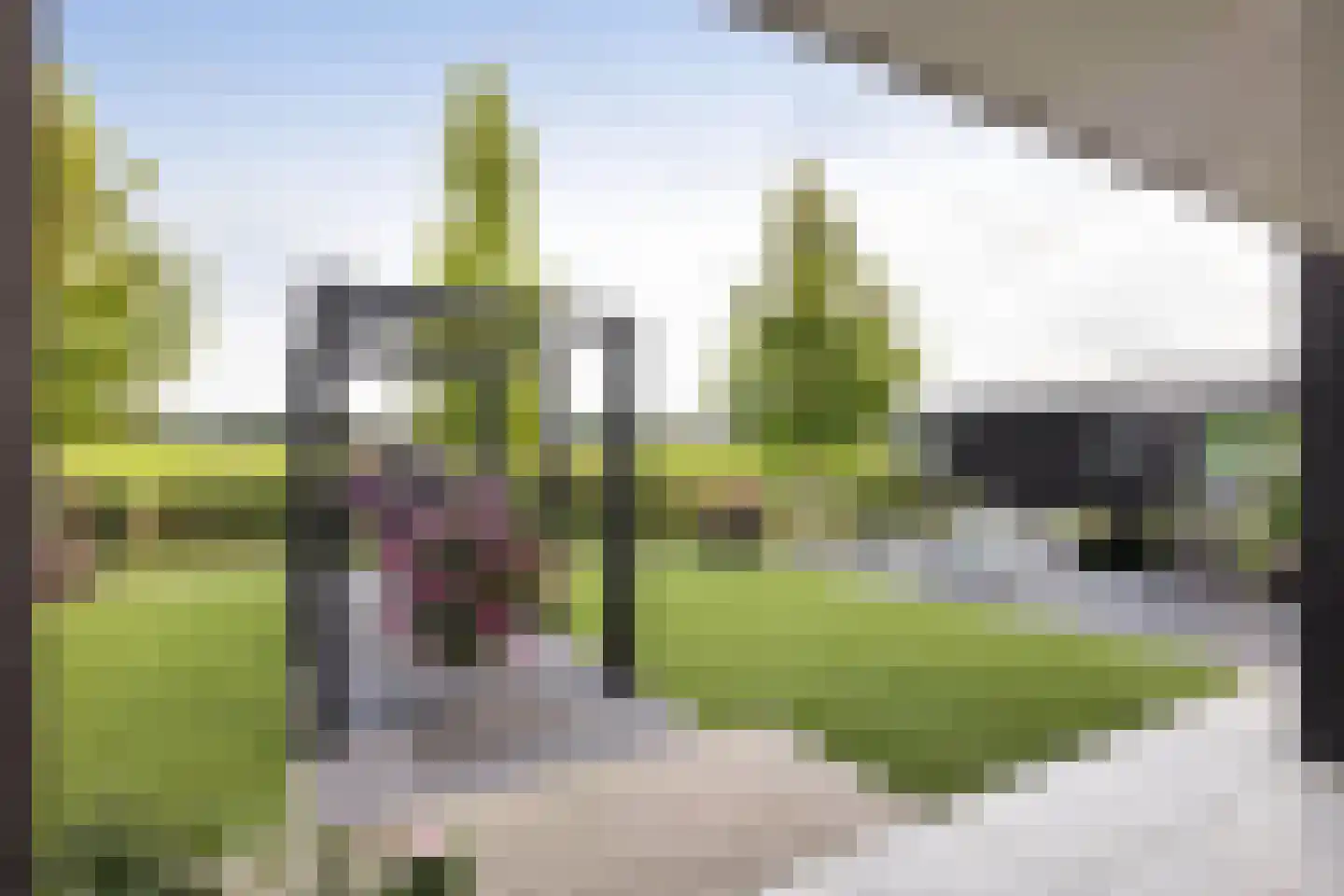 Everlostraat 21 Tubbergen thumbnail 31