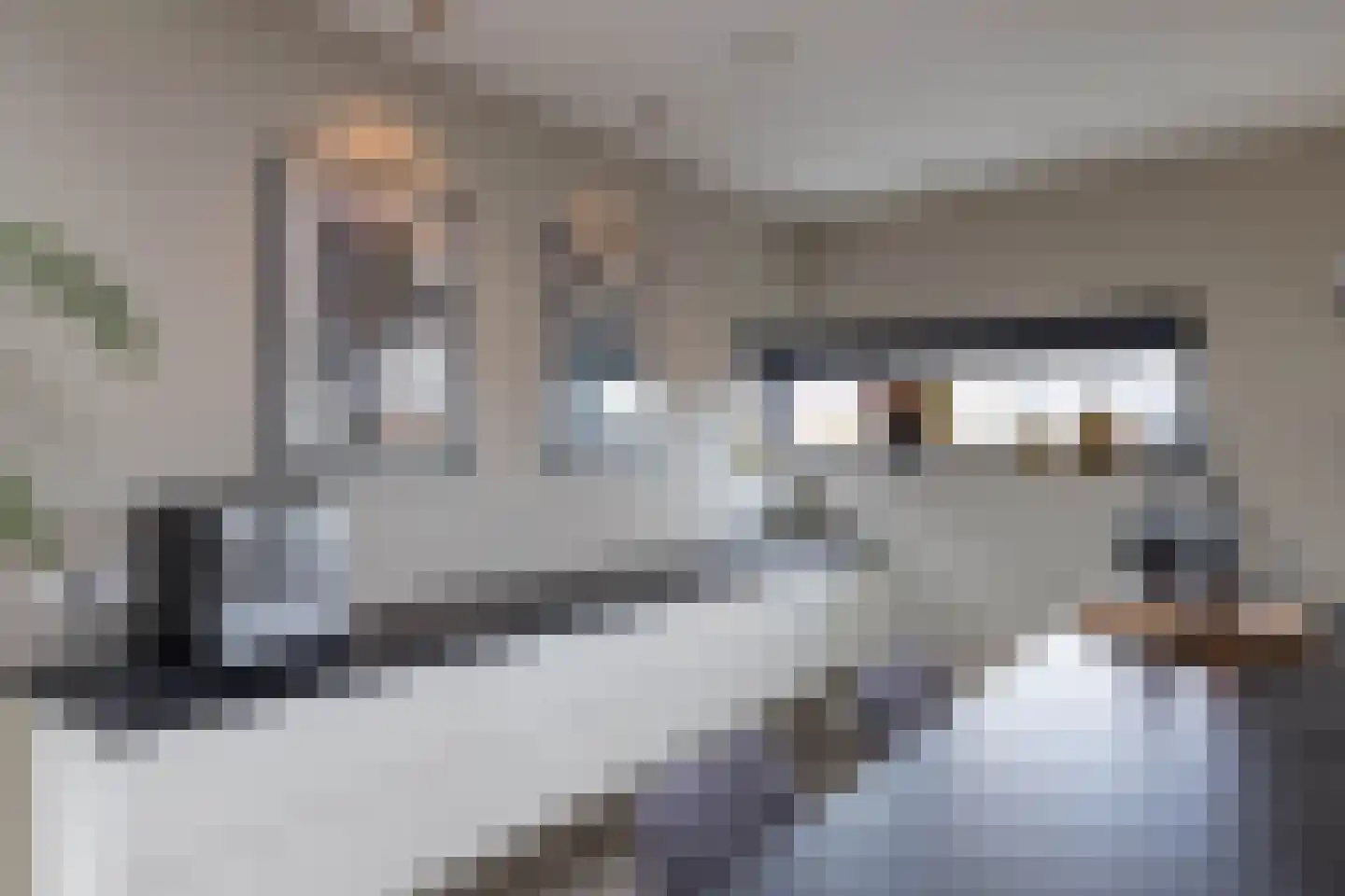 Everlostraat 21 Tubbergen thumbnail 7