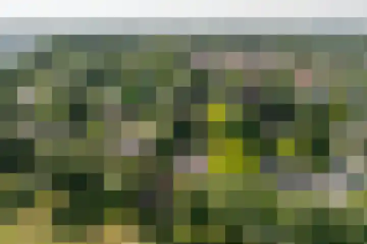 Everocken 16 Mijnsheerenland thumbnail 10