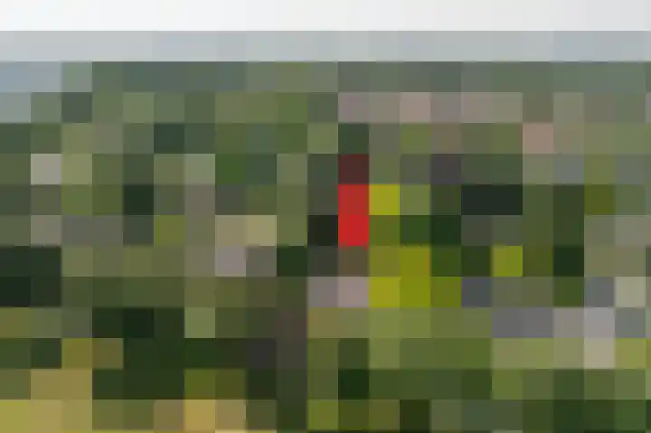 Everocken 16 Mijnsheerenland thumbnail 11