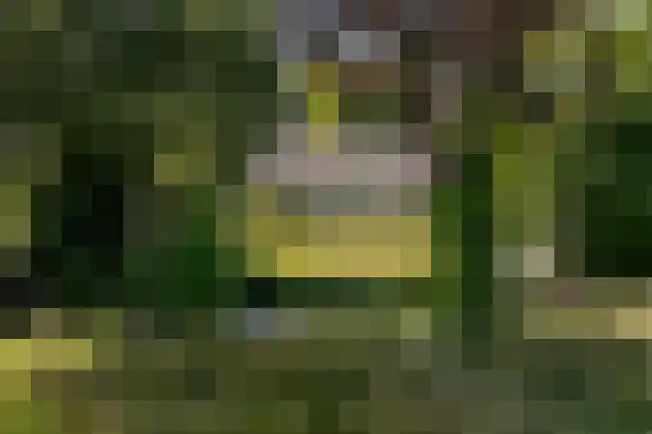 Everocken 16 Mijnsheerenland thumbnail 12