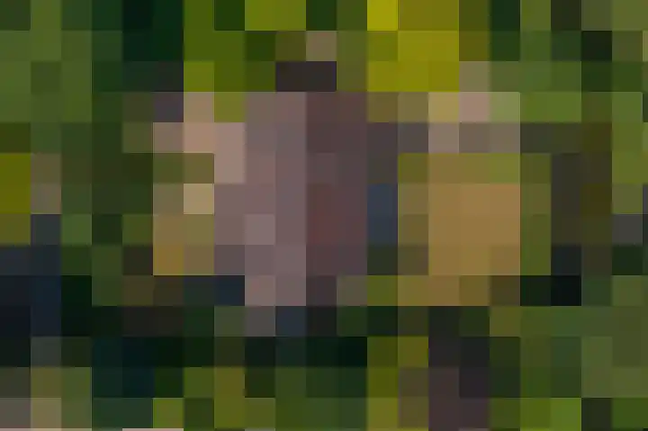 Everocken 16 Mijnsheerenland thumbnail 13
