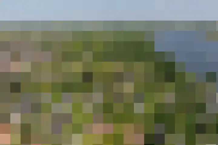 Everocken 16 Mijnsheerenland thumbnail 14