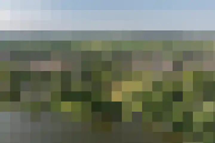 Everocken 16 Mijnsheerenland thumbnail 16