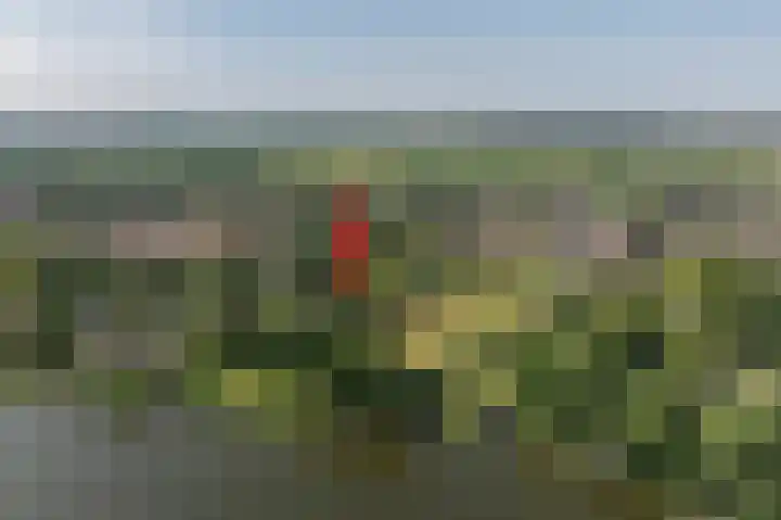 Everocken 16 Mijnsheerenland thumbnail 17