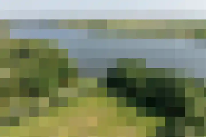 Everocken 16 Mijnsheerenland thumbnail 18