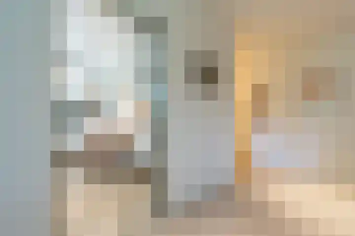 Everocken 16 Mijnsheerenland thumbnail 20