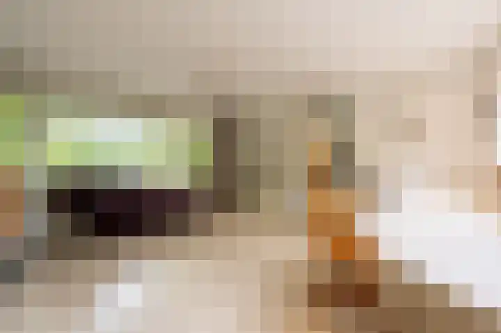 Everocken 16 Mijnsheerenland thumbnail 29