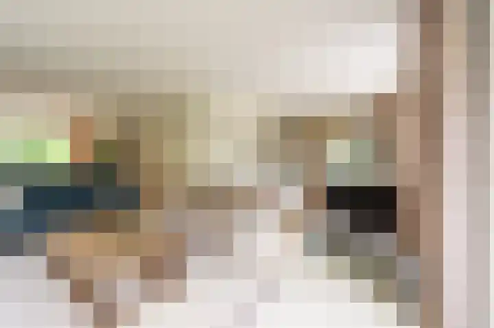 Everocken 16 Mijnsheerenland thumbnail 34