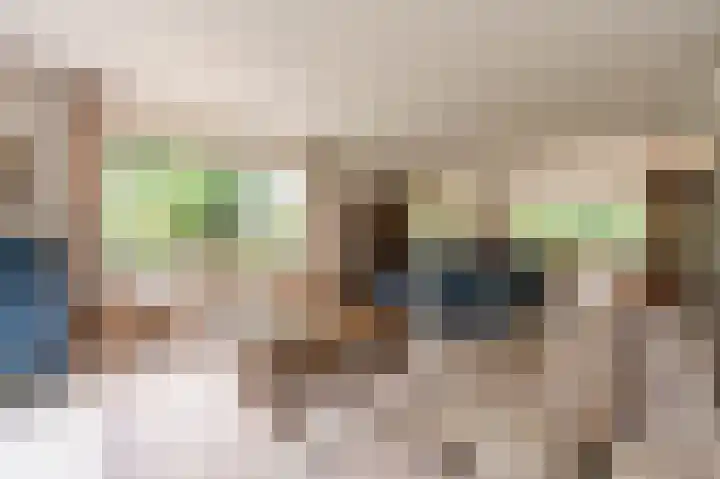 Everocken 16 Mijnsheerenland thumbnail 35