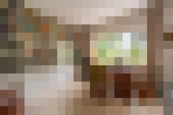 Everocken 16 Mijnsheerenland thumbnail 36