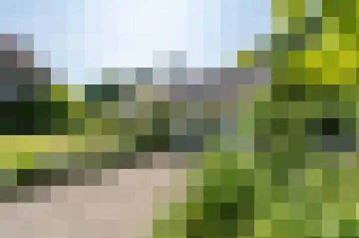 Everocken 16 Mijnsheerenland thumbnail 4
