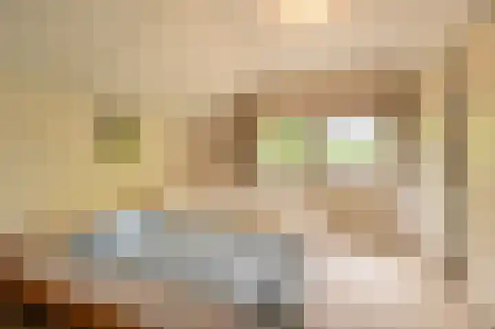 Everocken 16 Mijnsheerenland thumbnail 48