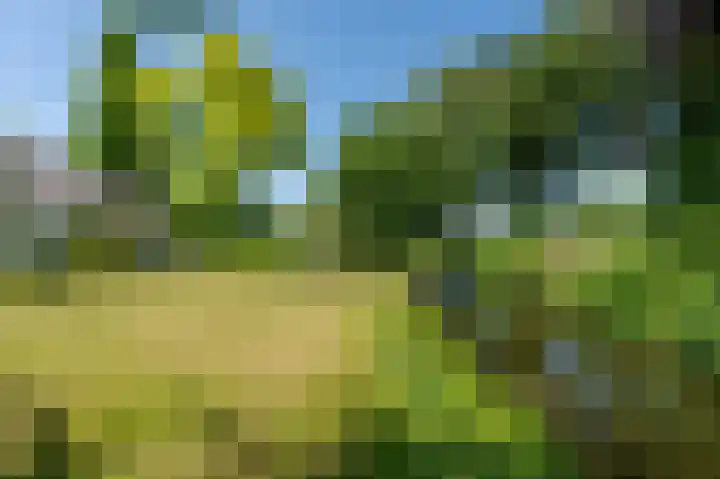 Everocken 16 Mijnsheerenland thumbnail 5