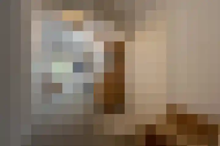 Everocken 16 Mijnsheerenland thumbnail 55