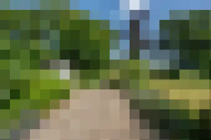 Everocken 16 Mijnsheerenland thumbnail 6