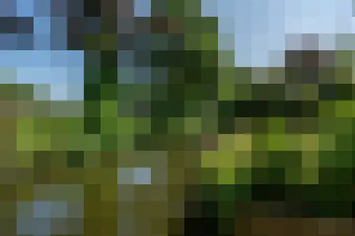 Everocken 16 Mijnsheerenland thumbnail 7