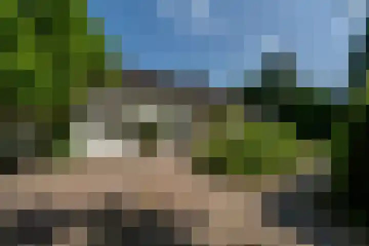 Everocken 16 Mijnsheerenland thumbnail 8