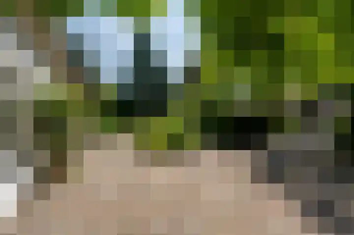 Everocken 16 Mijnsheerenland thumbnail 9