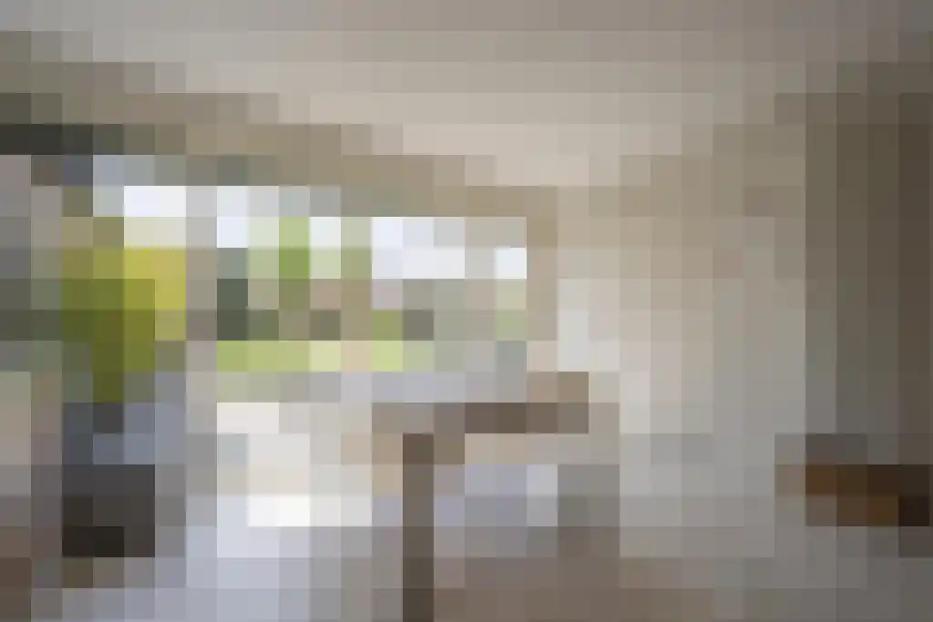 Everocken 29 Mijnsheerenland thumbnail 10